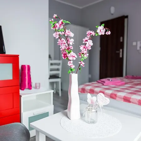 Grey House Hostel Βρότσλαβ