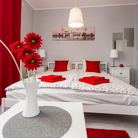 Grey House بيت شباب *