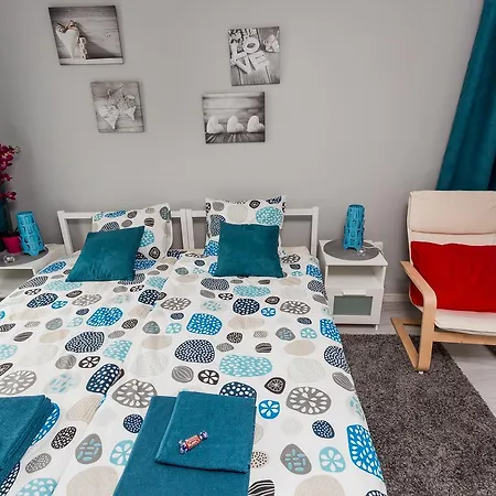 Grey House ホステル