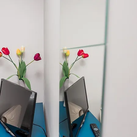 Grey House ホステル *