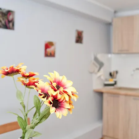 Grey House * ヴロツワフ