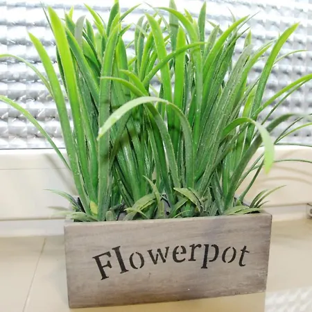 Hostel Grey House Wrocław