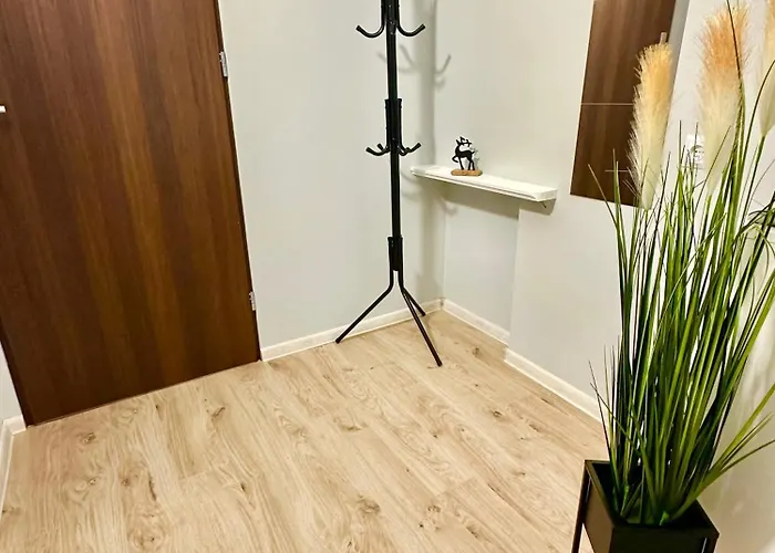 Grey House Хостел *