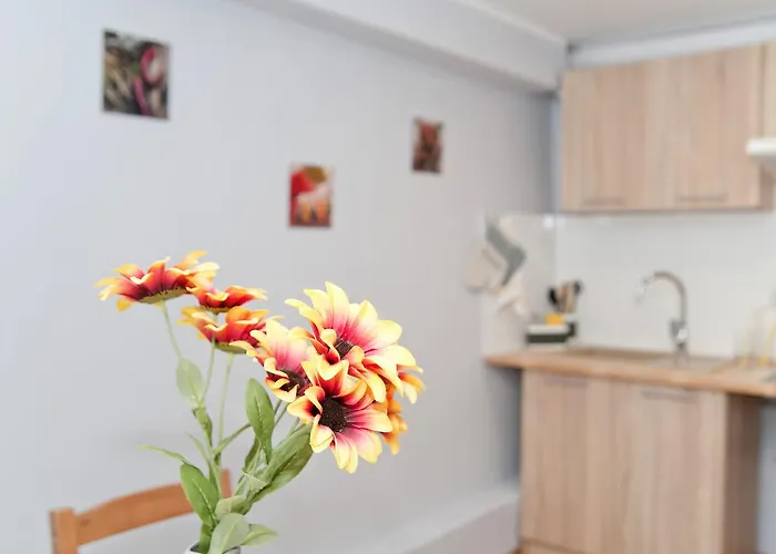 Grey House * Wrocław