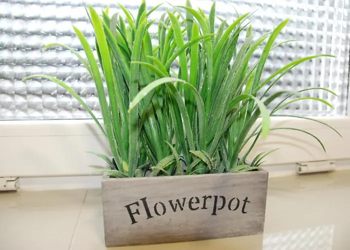 Hostel Grey House Wrocław